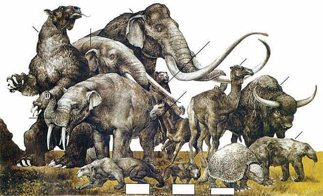 10 mil años, clima y vegetación