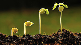 Timeline: La Historia de la Fitopatologia