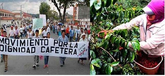 Movimiento Dignidad Cafetera, Movimiento Dignidad Lechera: