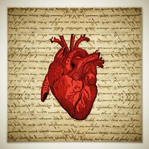 William Harvey describe la circulación de la sangre y el bombeo del corazón