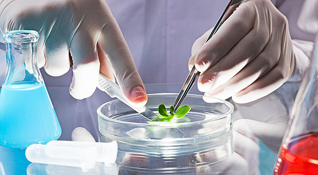 Biomedicina en España