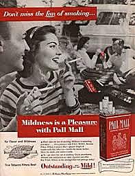 Período de socialización