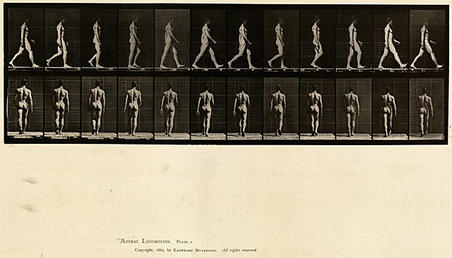 Edad Media (200-1450 d.C.)