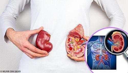 Primer trasplante de órganos