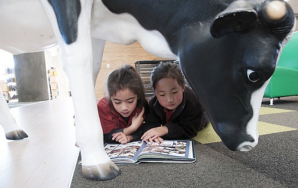 Método cíclico de la instrucción