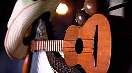 Timeline: MÚSICA LLANERA