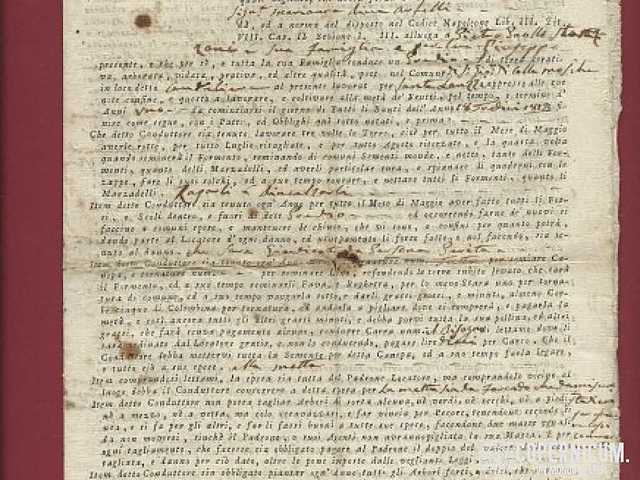 Il Codice Napoleonico