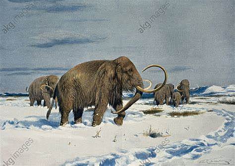 Ende der letzten Eiszeit.