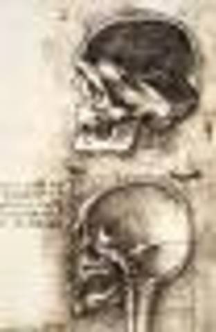 Blood circulation theory arrises