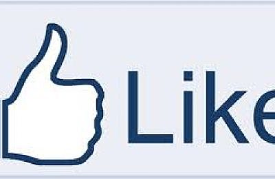 Bland V. Roberts Court Ruling