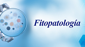Timeline: HISTORIA DE LA FITOPATOLOGIA