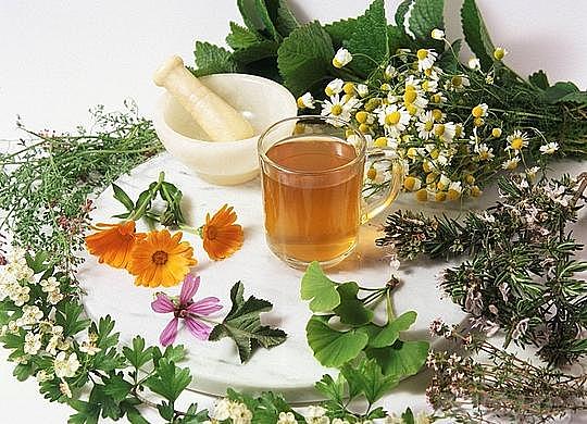 la fuerza de la naturaleza, terapia Alópata y Homeópata