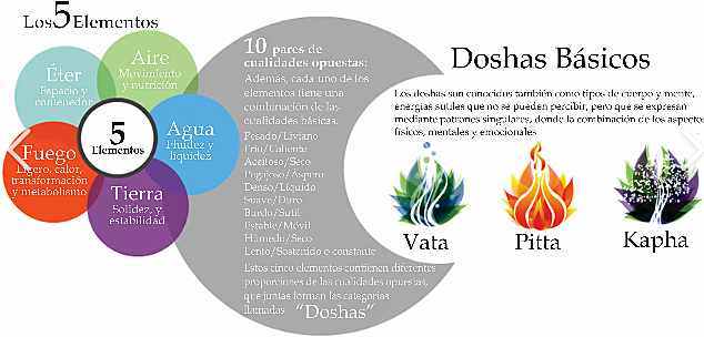 Medicina Ayurvédica