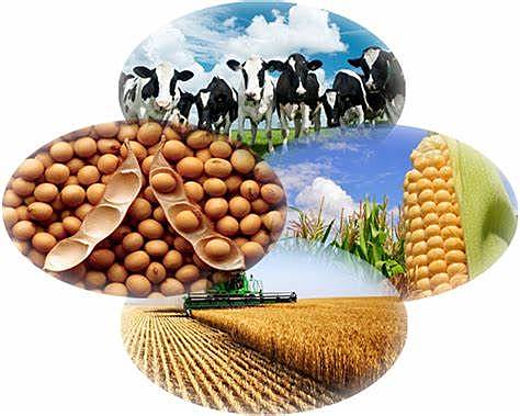 EL MARKETING DE LOS PRODUCTOS AGRICOLAS