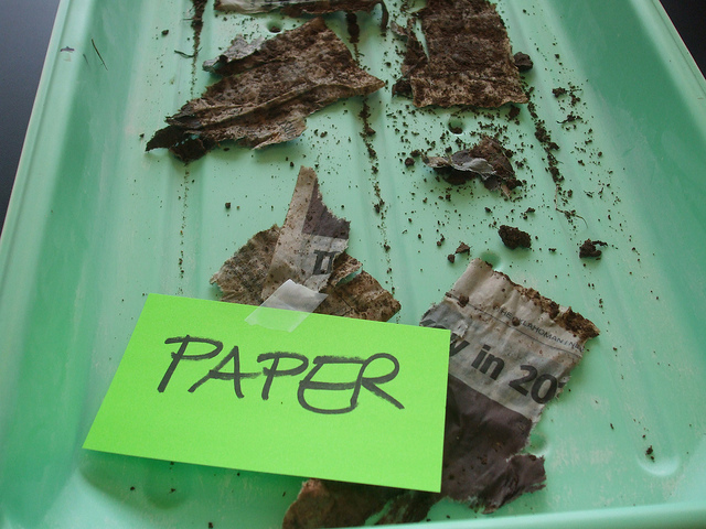 Conclusions; Newspaper and Cotton