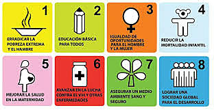 CUMBRE DEL MILENIO - NEW YORK