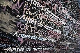 Voluntad de paula antes de morir