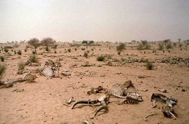 Sahel Drought
