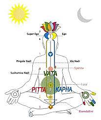 MEDICINA AYURVEDA "la ciencia de la vida”.( 5000 Años)