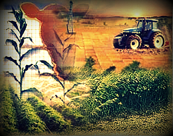 Política agropecuaria