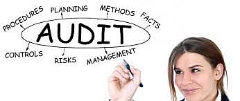 La Auditoria de Mercadotecnia (Marketing Audit) propuesta por Abe Schuchman.