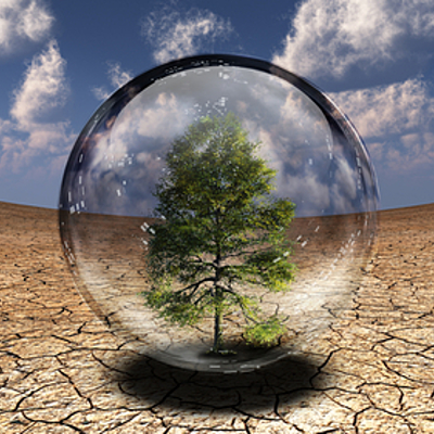 Timeline: Problemática ambiental global