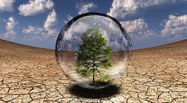 Timeline: Problemática ambiental global