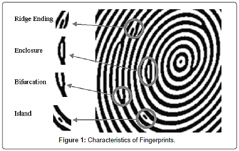 British police use fingerprints