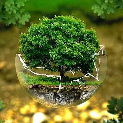 Timeline: Problemática Ambiental.