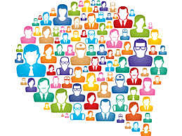 Período de socialización