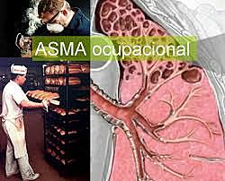 2008 - Resolución 1013