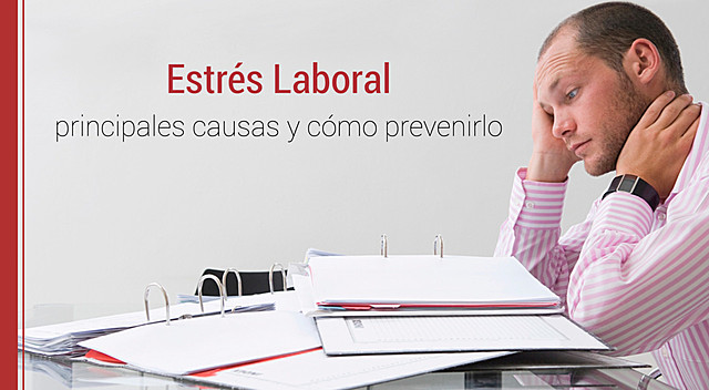 2008 - Resolución 2646