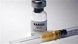 Desarollo de la primera vacuna para Ántrax y Rabia