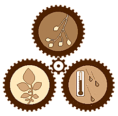 Primer control de las enfermedades de las plantas.