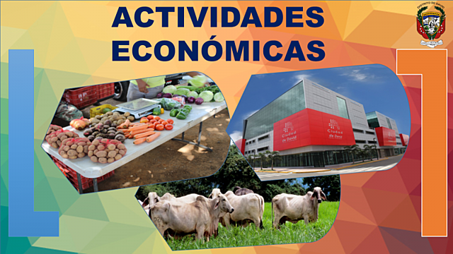 El control de las actividades económicas
