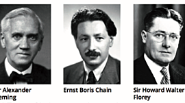 Timeline: STORIA CONTEMPORANEA