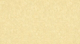 Timeline: línea del tiempo sobre la evolución de los dispositivos móviles, su uso en la Nube y sus Apps en tú perfil académico