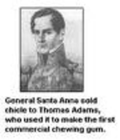 new introductions to gum