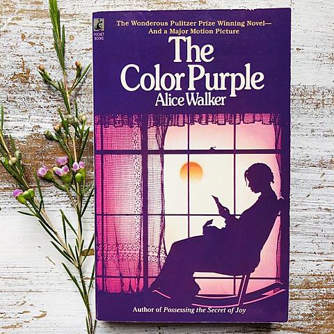 The Color Purple - Alice Walker books