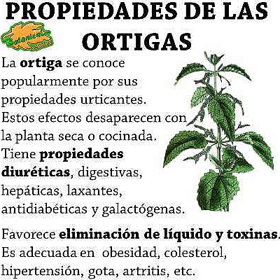 Timeline: Primera Guerra Mundial