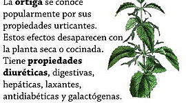 Timeline: Primera Guerra Mundial