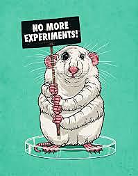 Proyecto para poner fin a los ensayos con animales
