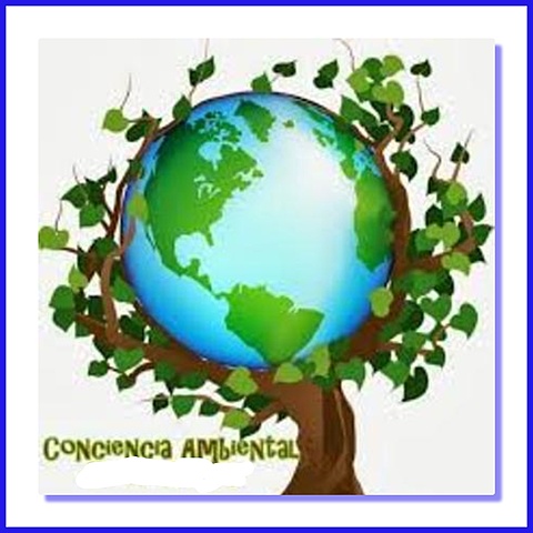 ¿A causa de que nace el desarrollo sustentable?