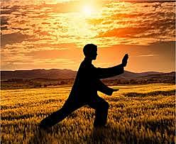 TAI CHI