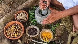 Medicinas tradicionales