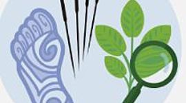 Timeline: DESARROLLO DE LAS TERAPIAS NATURALES