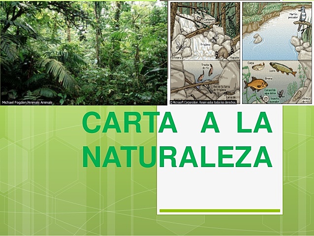 Publicación de la Carta mundial de la naturaleza