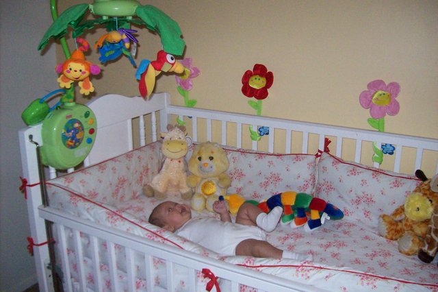 1st night slept in crib