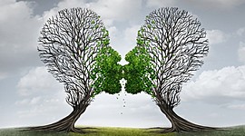 Timeline: EVOLUCIÓN DE LAS TERAPIAS NATURALES