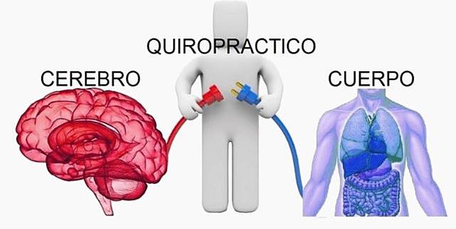 QUIROPRACTICA